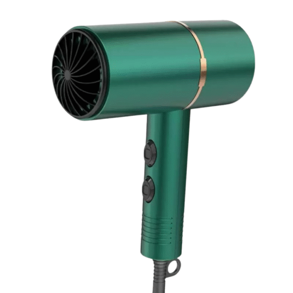 Shinaite Hair Dryer (Green)